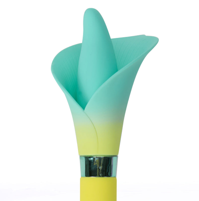 FLOWER POWER Display Includes Vala and Mina